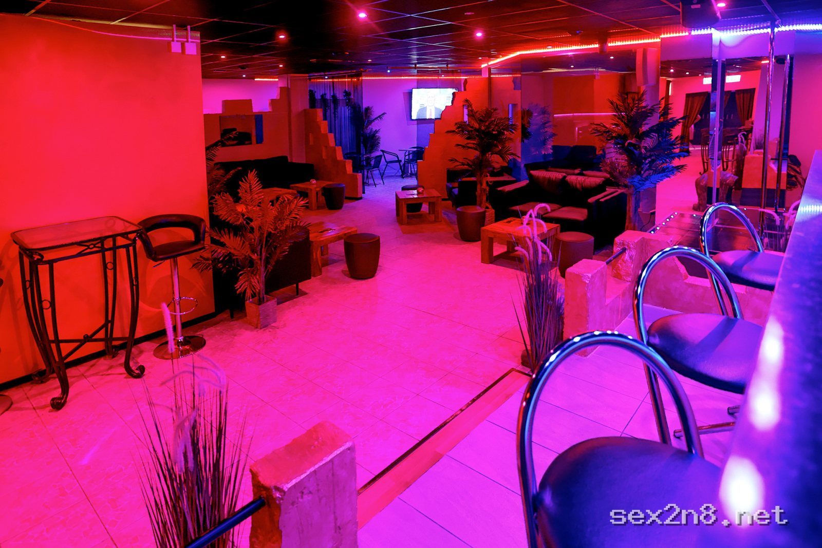 Pascha Basel – Bar & Gastronomie